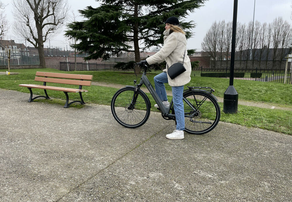 avis velo tenways cgo800s