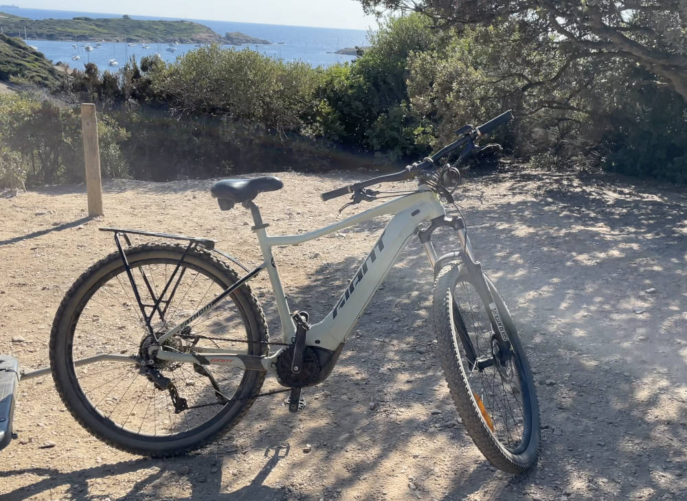 giant fathom e 29