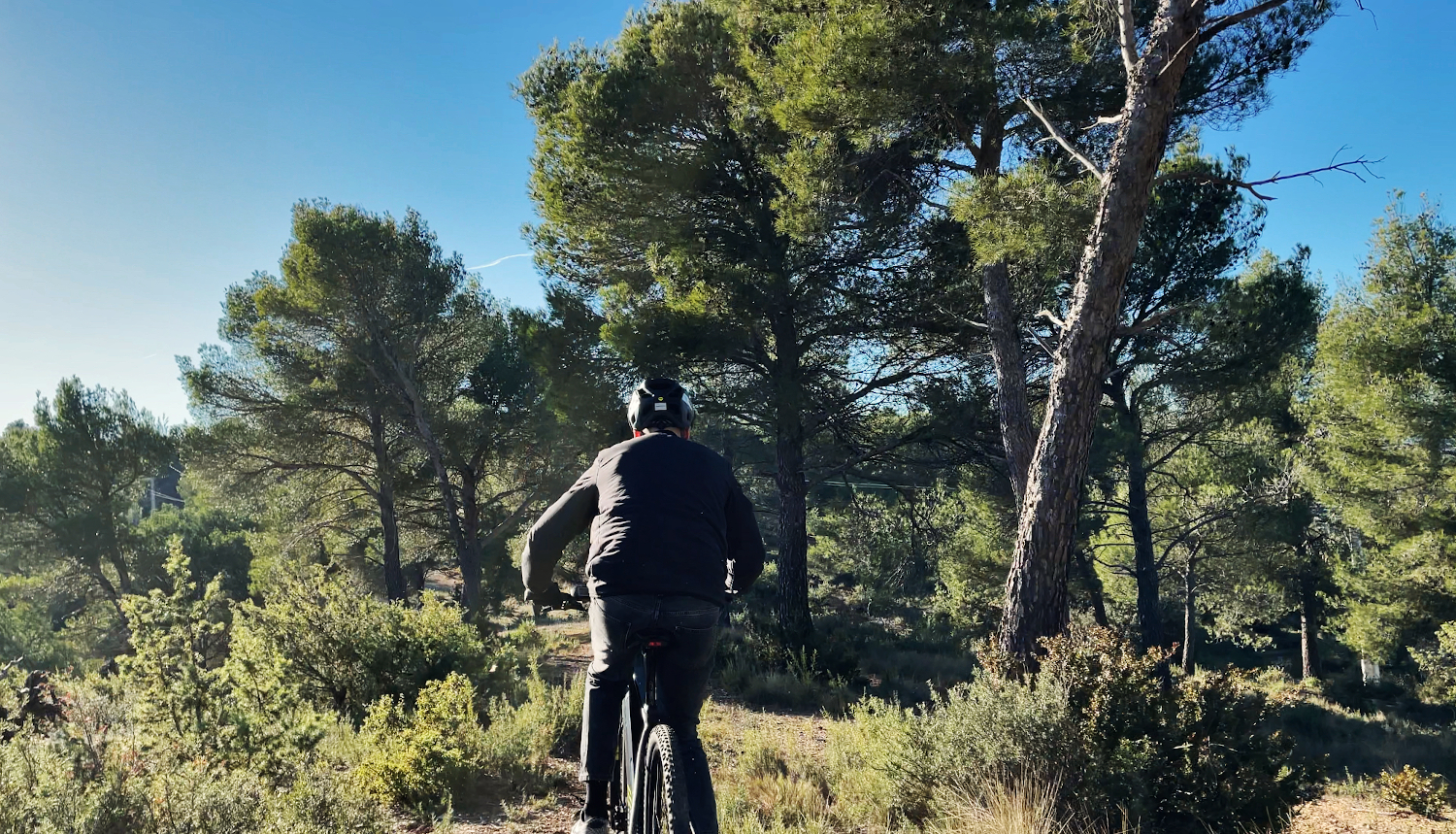 test ride kalkhoff entice 3b advance