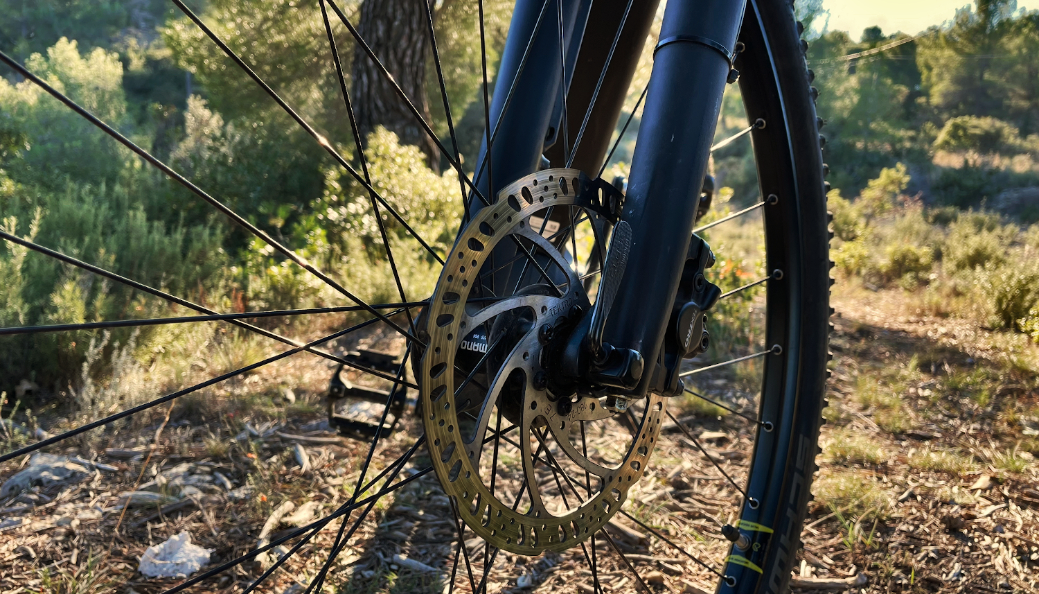 test velo kalkhoff entice