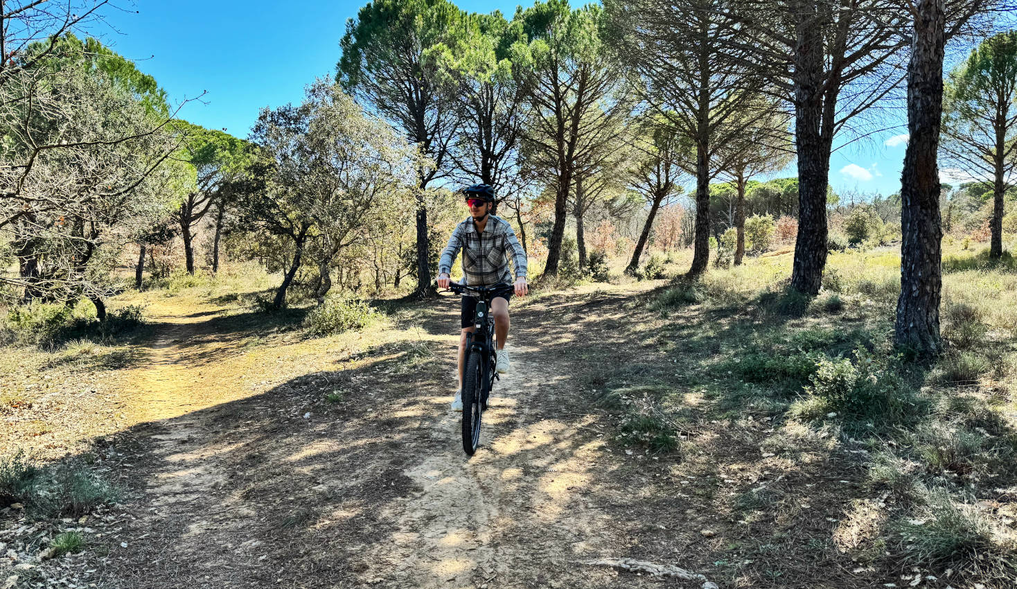 avis experience velo de ville seb 890