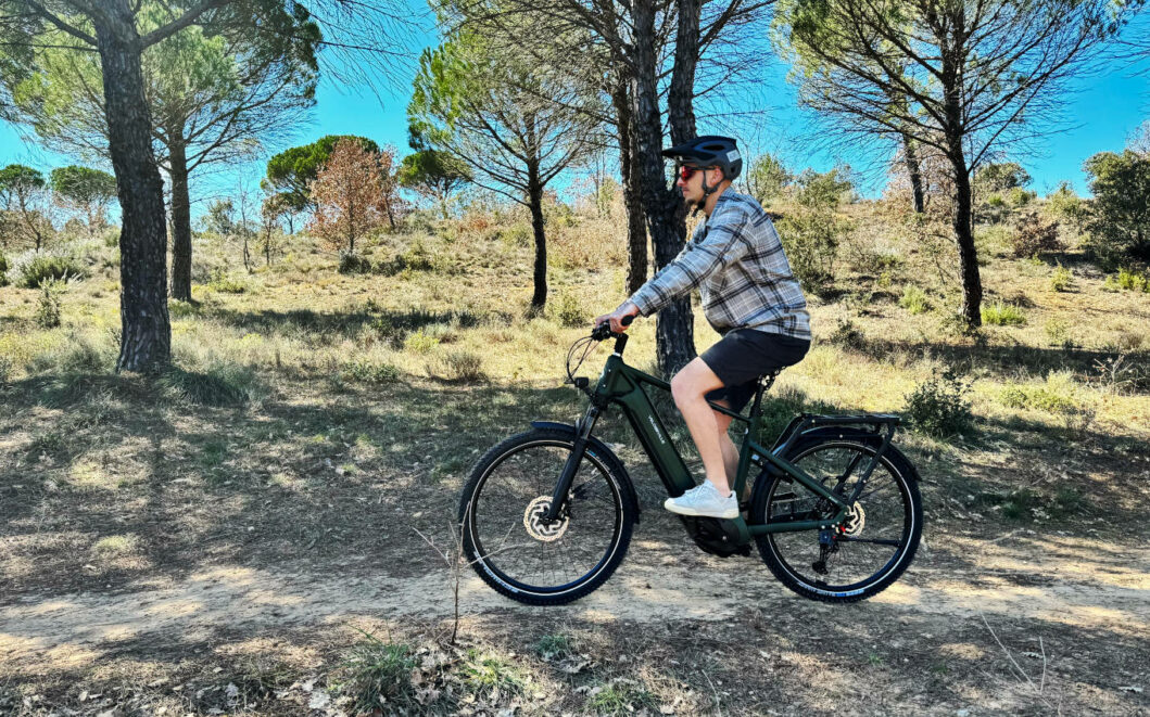 avis vtc velo de ville seb 890