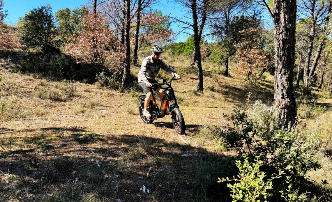 lankeleisi rx800 plus test foret