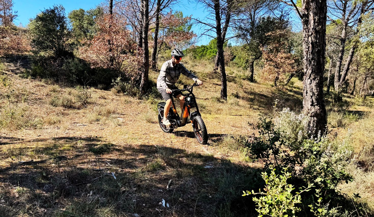 lankeleisi rx800 plus test foret