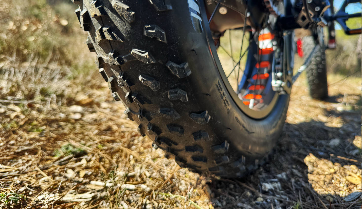pneu fatbike lankeleisi rx800 plus