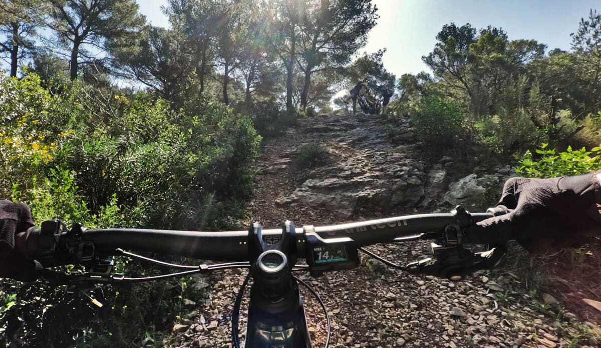 test VTT Rotwild RE 735 Core