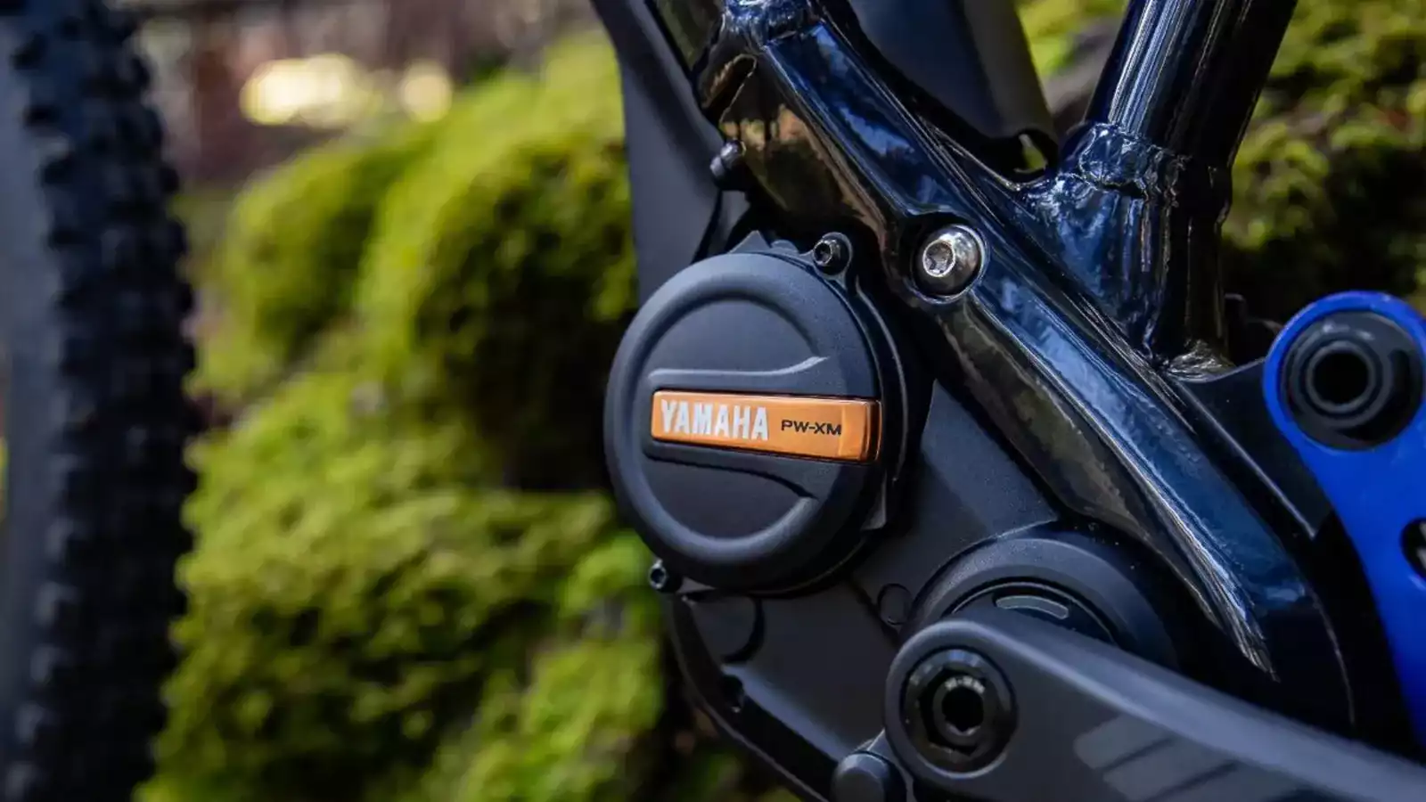 moteur yamaha pw xm