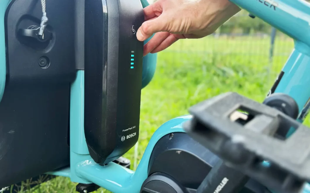 batterie carrie riese muller