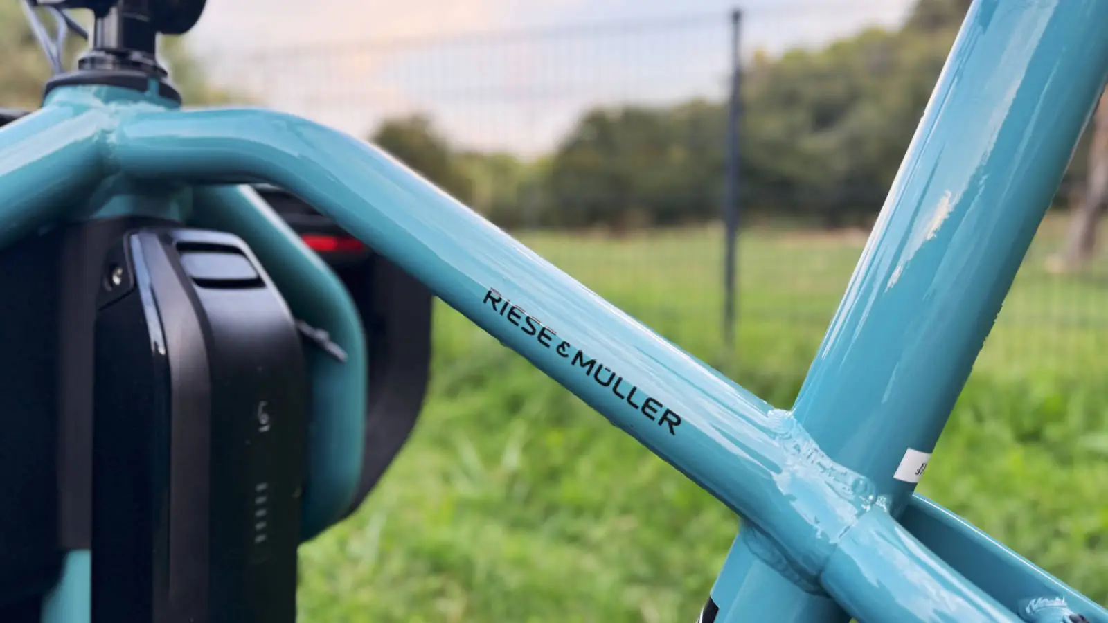 cadre detail riese muller
