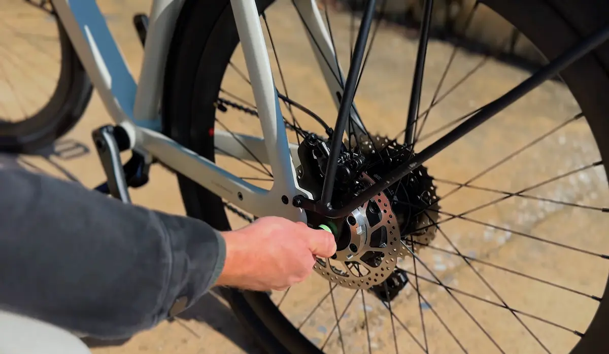 lemmo collab musculaire